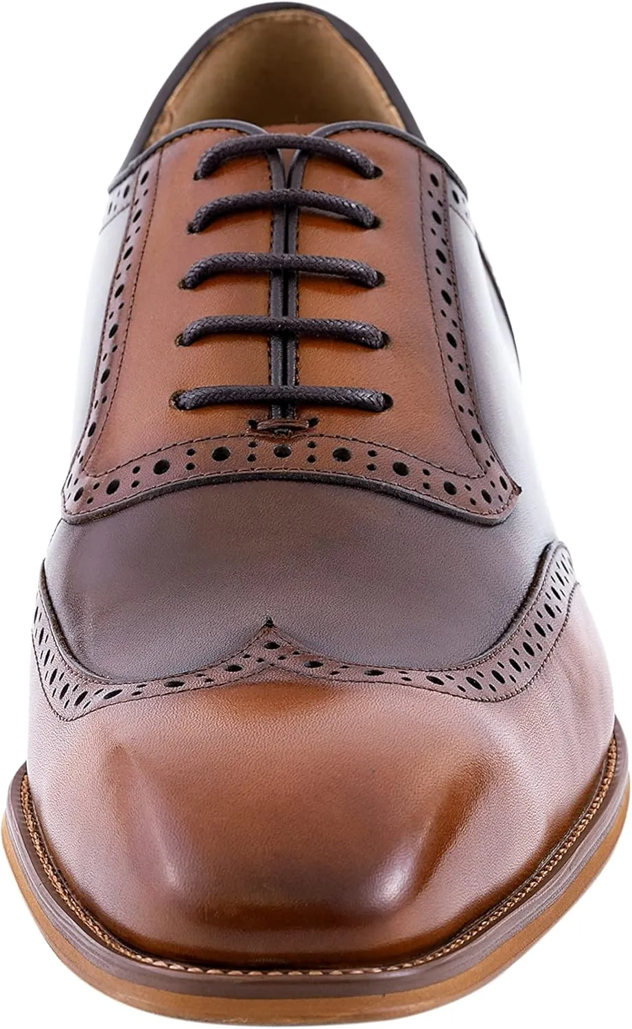 Asher Green AG100 - Men's Dress Shoes - Genuine Calf Leather Wingtip Oxfords - Two Tone and Multi Tone Mens Dress Shoes