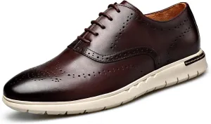 Casual Dress Shoes for Men, Business Casual Oxfords Wingtip