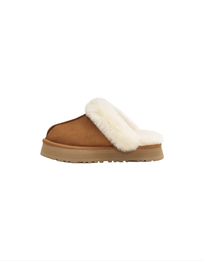 Disquette Slipper in Chestnut