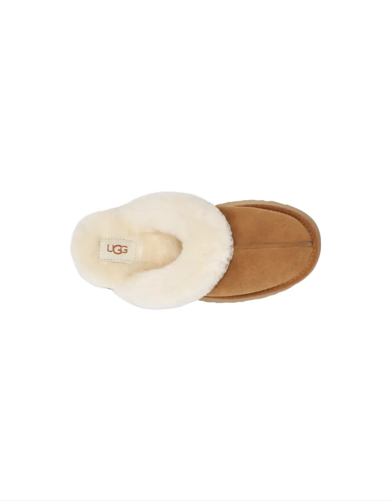 Disquette Slipper in Chestnut
