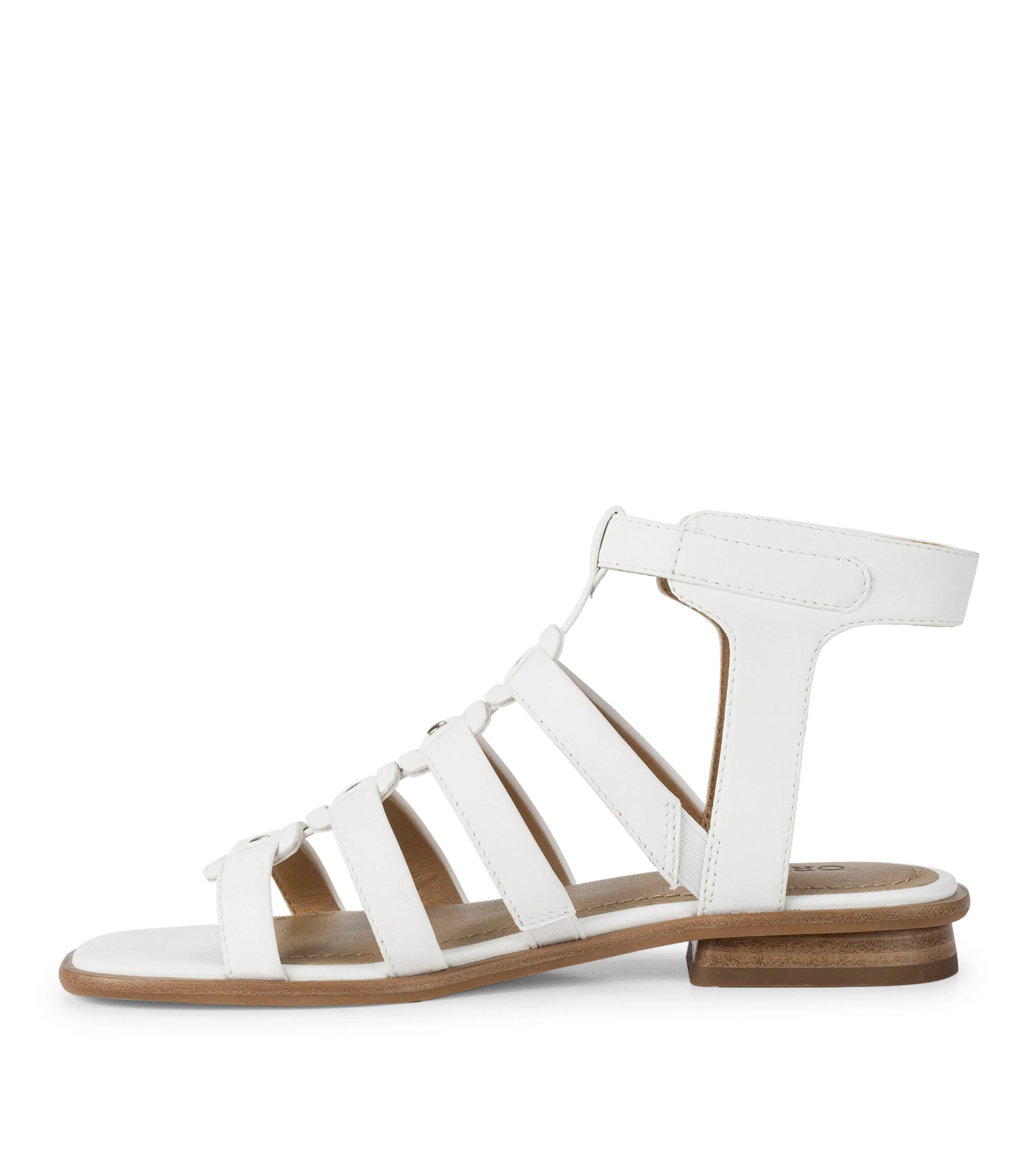 Nathalia Gladiator Sandal