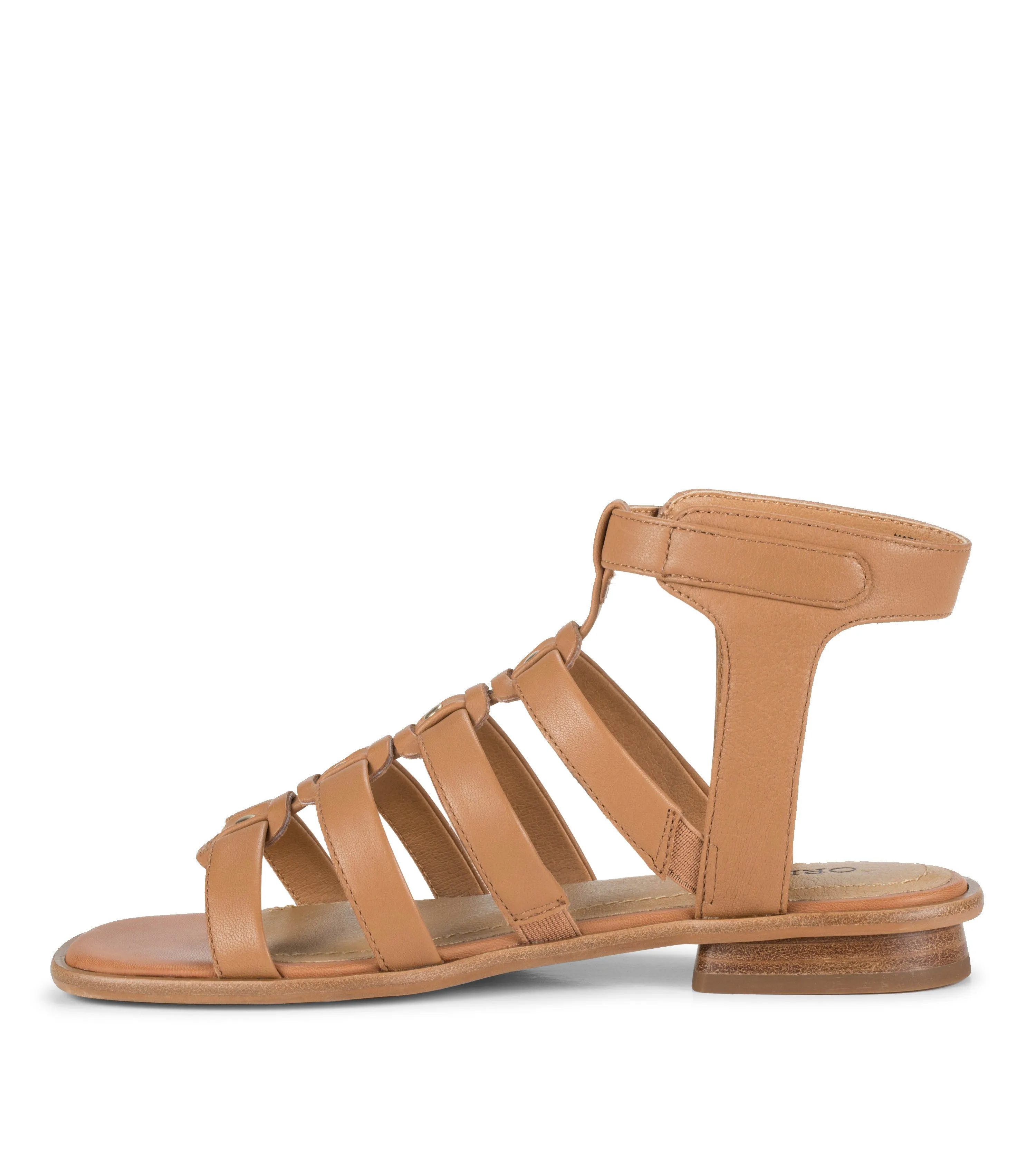 Nathalia Gladiator Sandal