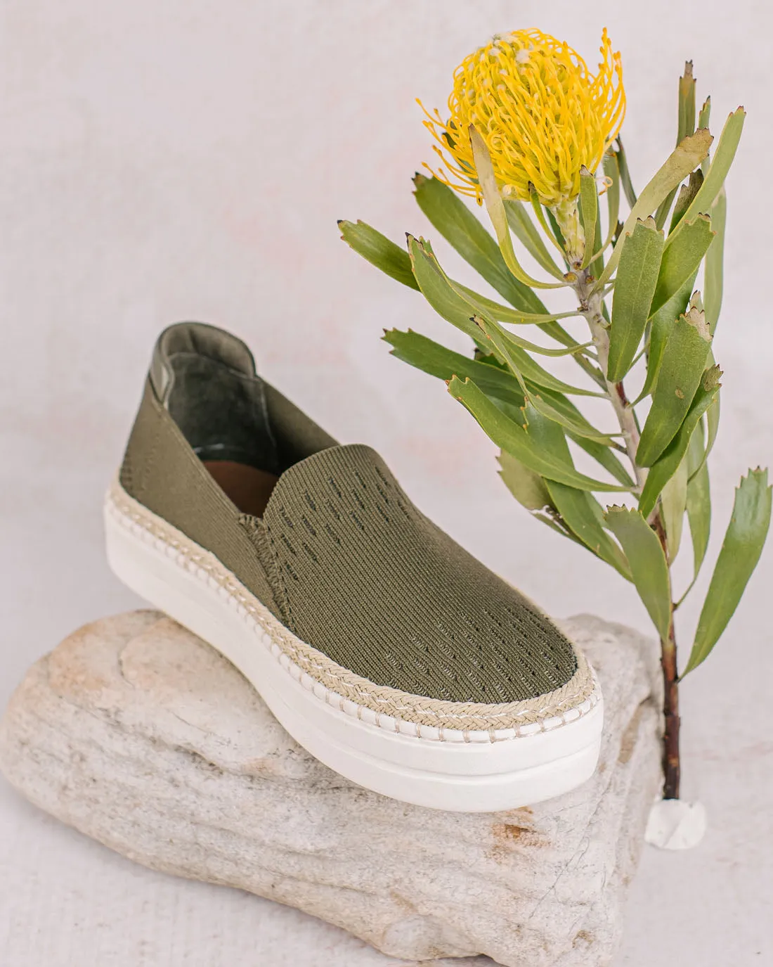New York Olive