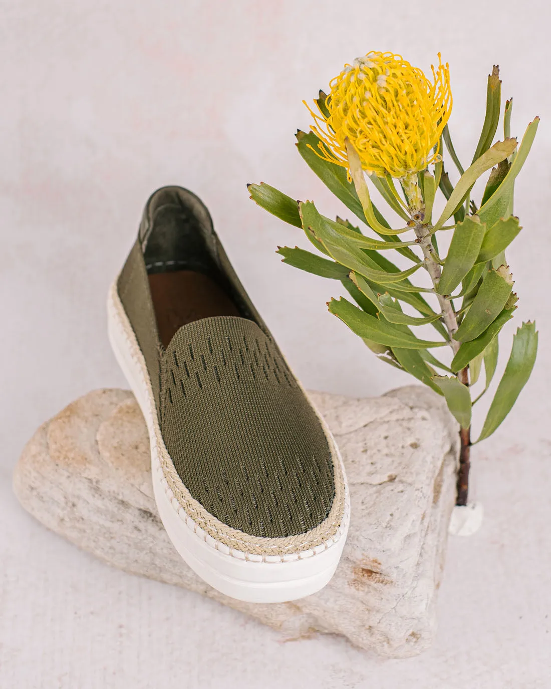New York Olive