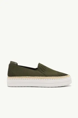New York Olive