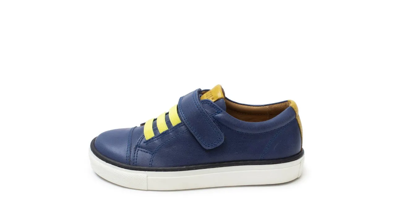 Petasil | Ryan | Blue & Yellow