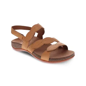 SCHOLL ABLE